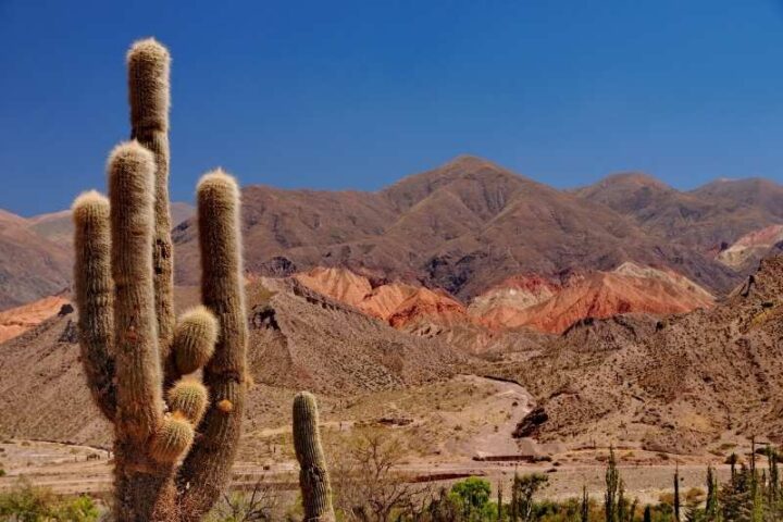 Quebrada de Humahuaca