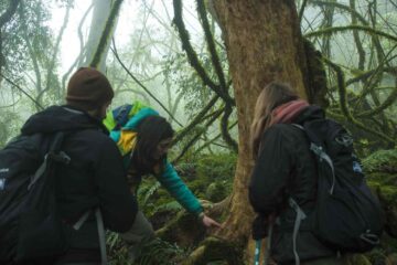 trekk-yungas-san-lorenzo