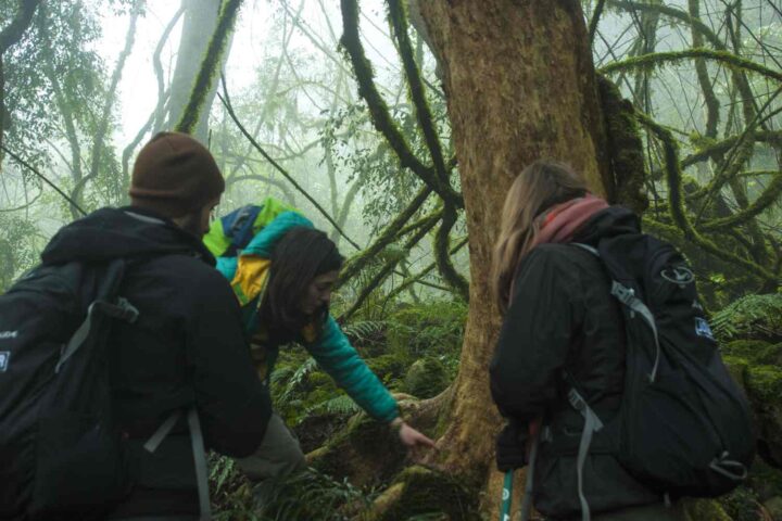 trekk-yungas-san-lorenzo