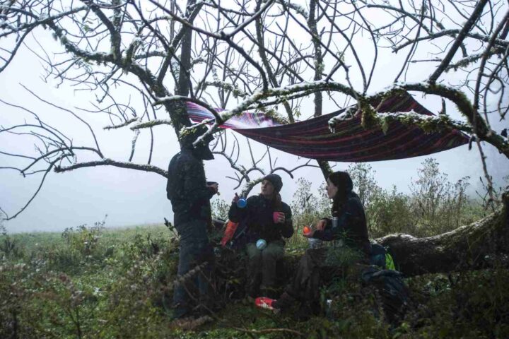 trekking yungas largo