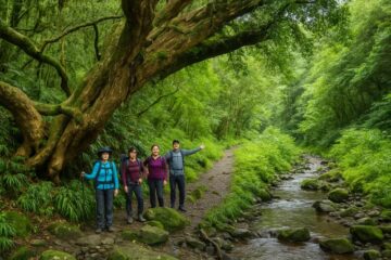 Trekking por las yungas de Salta